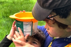 Group examination of critters the boys have found