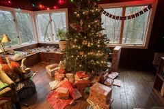 Tree and presents in Croton-on-Hudson