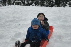 Luca & Emmett sledding at Hurricane Ridge in the Olympics