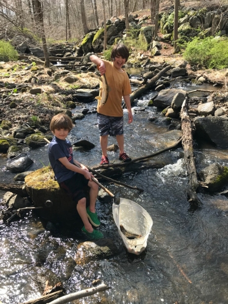 Boys plundering a local stream