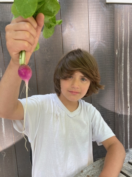 Sam, proud of his radishes