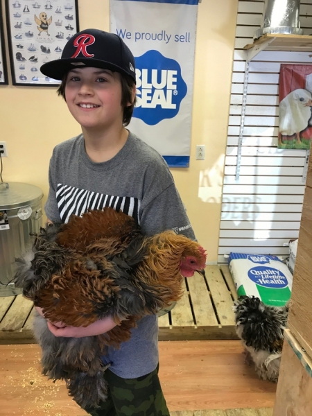 Sam loves his chickens