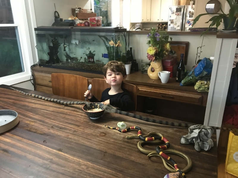 Luca and a few of his snake friends