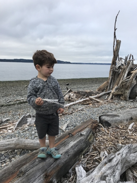 Luca ,at home in his Puget Sound environment.