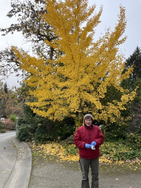 At Kubota Gardens, Seattle