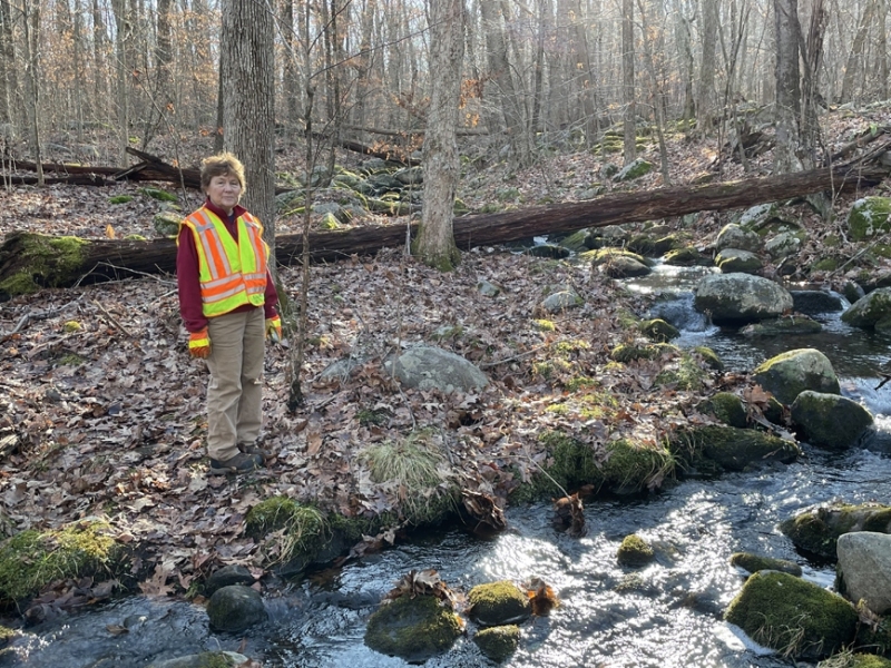 Hiking a trail, during hunnting season