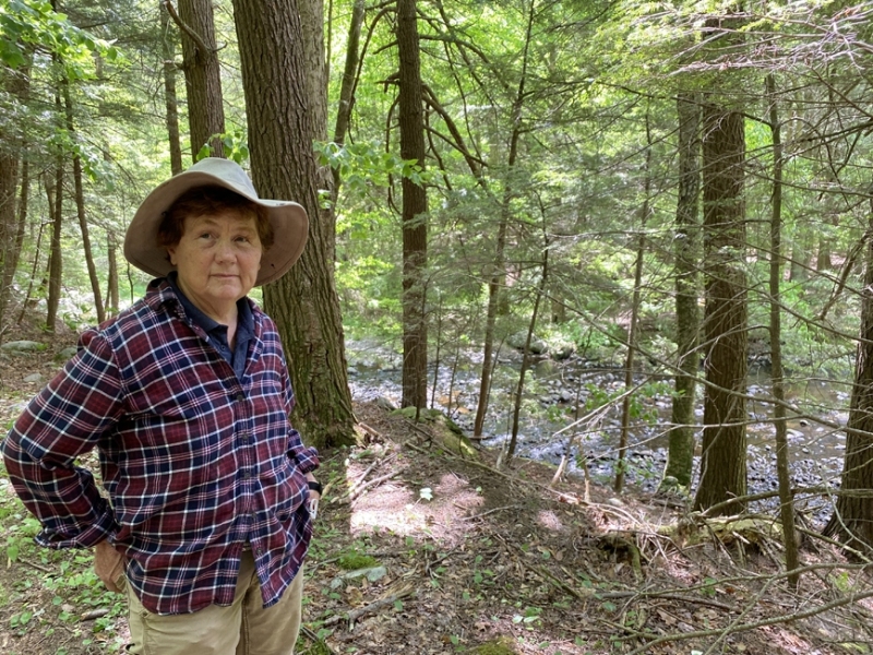 Jani on one of the Litchfield Land Trust trails