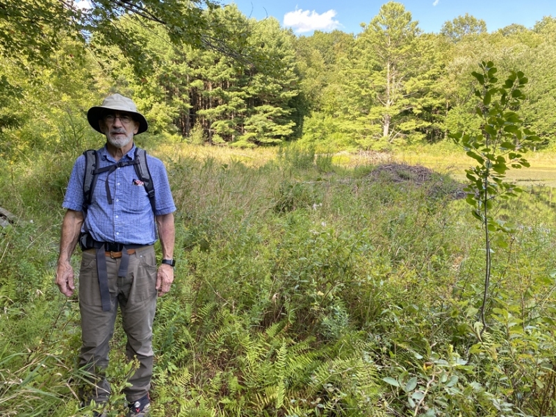 At Graniss pond, local trail
