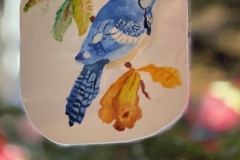 One of our favorites,  Blue Jay by Austin