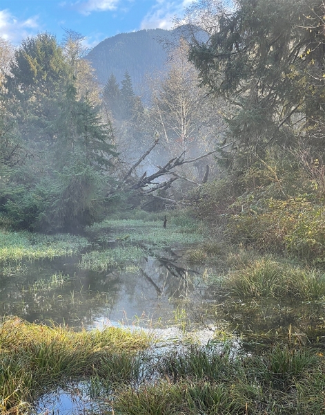 Pac_NW_1