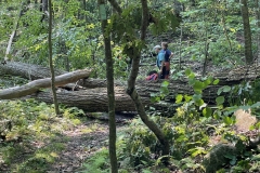 Jani and Erik discussing possible soutions to trail clearing