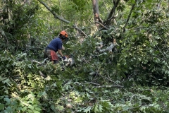 Jani, deep into a clean-up of downed trees