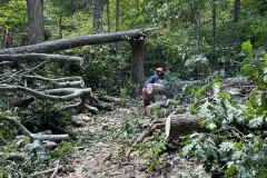 Clearing a path on a diverted trail