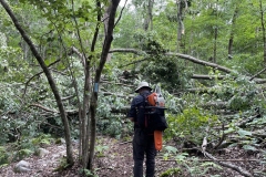 Gary carried Jani's bigger saw and moved cut-up wood