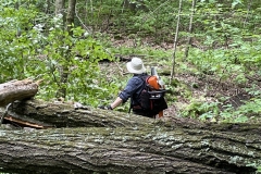 Gary standing on the trail, at double blowdown