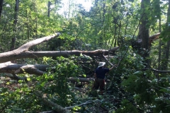 Jani surveying a trail closure