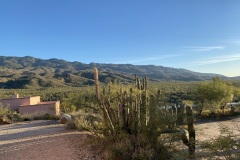Setting for the Tanque Verde Ranch