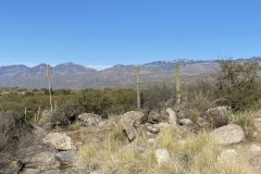 View on our trail ride into the mountains